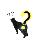 表情豊かな黒猫びびちゃんスタンプ3（個別スタンプ：24）
