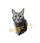 ウチのちょん。（個別スタンプ：15）
