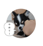 リディムスタンプ（個別スタンプ：9）