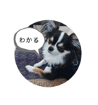 リディムスタンプ（個別スタンプ：10）