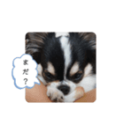 リディムスタンプ（個別スタンプ：14）