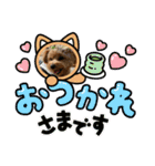 ポメプーのシフォンちゃん！（個別スタンプ：3）