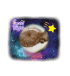 ポメプーのシフォンちゃん！（個別スタンプ：6）