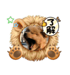 ポメプーのシフォンちゃん！（個別スタンプ：8）