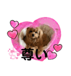ポメプーのシフォンちゃん！（個別スタンプ：23）