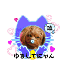 ポメプーのシフォンちゃん！（個別スタンプ：30）