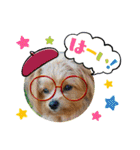 ポメプーのシフォンちゃん！（個別スタンプ：32）