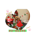ポメプーのシフォンちゃん！（個別スタンプ：36）