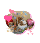 ポメプーのシフォンちゃん！（個別スタンプ：39）