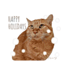 ハーツシェルター保護猫支援・冬（個別スタンプ：17）