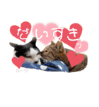 ハーツシェルター保護猫支援・冬（個別スタンプ：19）