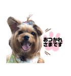 ららの日常②〜日常会話編〜（個別スタンプ：5）