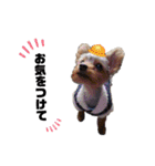 ららの日常②〜日常会話編〜（個別スタンプ：10）