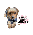 ららの日常②〜日常会話編〜（個別スタンプ：13）
