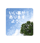 癒し癒されたい人が使うスタンプ（個別スタンプ：9）