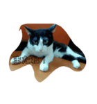 CAT RUU8（個別スタンプ：7）
