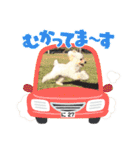 ♡ NINA ♡（個別スタンプ：2）