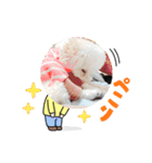♡ NINA ♡（個別スタンプ：8）