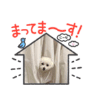 ♡ NINA ♡（個別スタンプ：10）