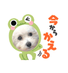 ♡ NINA ♡（個別スタンプ：14）
