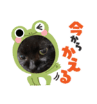 黒猫のチップ（個別スタンプ：2）