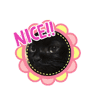 黒猫のチップ（個別スタンプ：3）