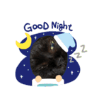 黒猫のチップ（個別スタンプ：7）