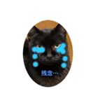 黒猫のチップ（個別スタンプ：12）
