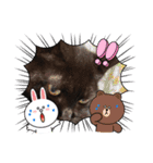 黒猫のチップ（個別スタンプ：14）