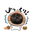 黒猫のチップ（個別スタンプ：23）