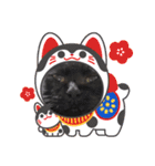 黒猫のチップ（個別スタンプ：24）
