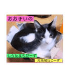 ガッシーねこーずスタンプ2021年冬（個別スタンプ：11）