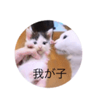 ガッシーねこーずスタンプ2021年冬（個別スタンプ：35）