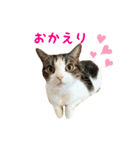 毎日ミュウちゃん（個別スタンプ：5）