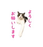 毎日ミュウちゃん（個別スタンプ：14）