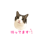 毎日ミュウちゃん（個別スタンプ：16）