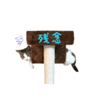 毎日ミュウちゃん（個別スタンプ：20）
