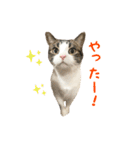 毎日ミュウちゃん（個別スタンプ：23）