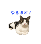 毎日ミュウちゃん（個別スタンプ：27）