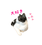 毎日ミュウちゃん（個別スタンプ：39）