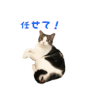 毎日ミュウちゃん（個別スタンプ：40）