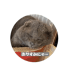 福来(フック船長) 2（個別スタンプ：10）