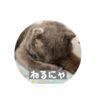 福来(フック船長) 2（個別スタンプ：12）