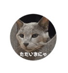 福来(フック船長) 2（個別スタンプ：15）