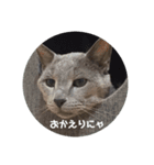 福来(フック船長) 2（個別スタンプ：16）