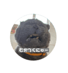 福来(フック船長) 2（個別スタンプ：18）