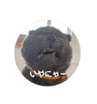 福来(フック船長) 2（個別スタンプ：20）