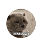 福来(フック船長) 2（個別スタンプ：23）