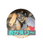 4つ目のラッキーちゃん 4（個別スタンプ：1）