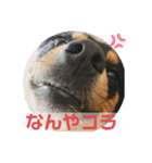 4つ目のラッキーちゃん 4（個別スタンプ：7）